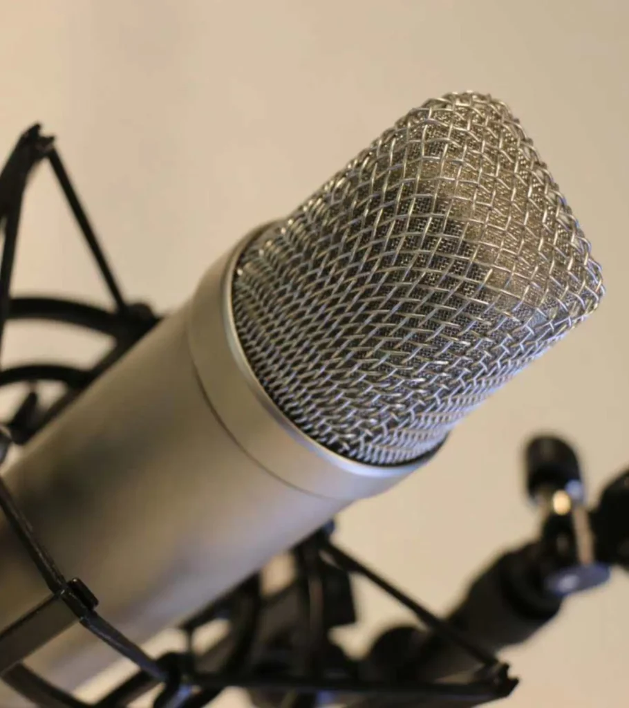 Professional Voice Over Talent